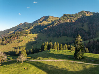panoramic aerial view in Autumn of the alpine landscape of the Nagelfluh mountain chain in Steibis,...