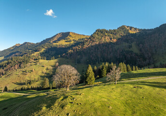 panoramic aerial view in Autumn of the alpine landscape of the Nagelfluh mountain chain in Steibis,...