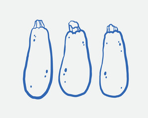 Hand-drawn carrot Illustration Set. Line art, ink, minimalist style. Vector illustration.