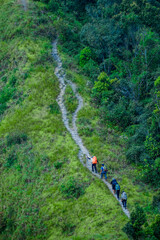 Hiking adventure group lush mountain trail outdoor activity natural environment aerial view team spirit