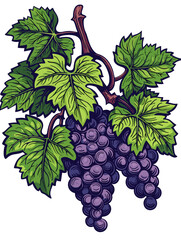 Bunch of Grapes on Transparent Background in Graphic Style