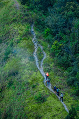 Hiking adventure with friends mountain trail outdoor activity lush greenery aerial view nature exploration