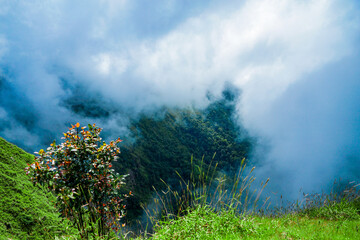 Fototapeta premium Stunning fog-covered mountain view nature landscape photography serene environment elevated perspective tranquility