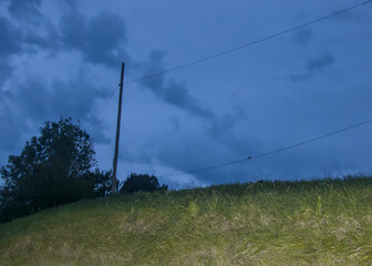 Electric pole with falcon posing