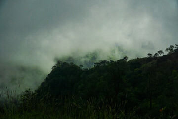 Misty mountain landscape forested hills nature photography serene atmosphere dramatic viewpoint tranquility and reflection