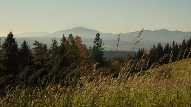 Meadow beautifully lighten up by the golden hour of the evening with mountains on the horizon. Brown and dark greens of Polish temperate mixed forest in autumn. High quality 4k footage