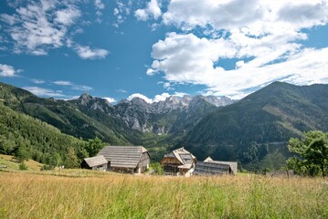 Stunning summer scenery with alpine meadows and  mountains in Austria. 