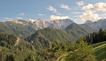 Stunning summer  scenery with alpine meadows and  mountains in Slovenia. Logarska Dolina and alpine forest with flowery fields from the Solcava panoramic road, Logar valley, Slovenia, Europe © dannywilde
