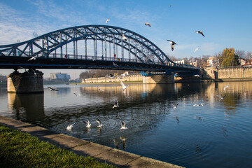 bridge over the river