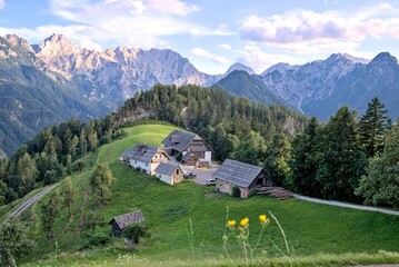 Stunning summer  scenery with alpine meadows and  mountains in Slovenia. Logarska Dolina and alpine forest with flowery fields from the Solcava panoramic road, Logar valley, Slovenia, Europe