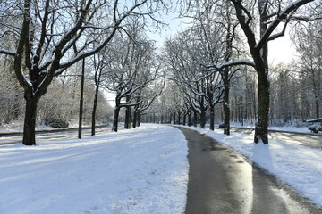 La piste cyclable dégagée de neige à l'avenue de Tervuren à l'entrée de la forêt de Soignes...