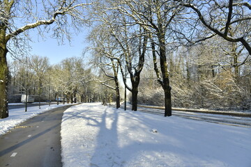 La piste cyclable dégagée de neige à l'avenue de Tervuren à l'entrée de la forêt de Soignes...