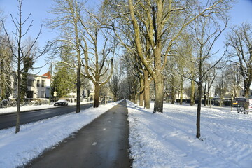 La piste cyclable d&eacute;gag&eacute;e de la neige &agrave; l'avenue de Tervuren &agrave; Woluwe-St-Pierre (Bruxelles) 