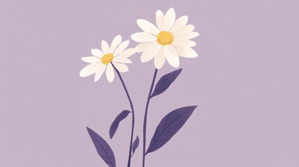 Fototapeta premium Simple but elegant daisy on a lavender background, generative ai