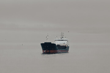 Small tanker ship navigating in port on a grey day.