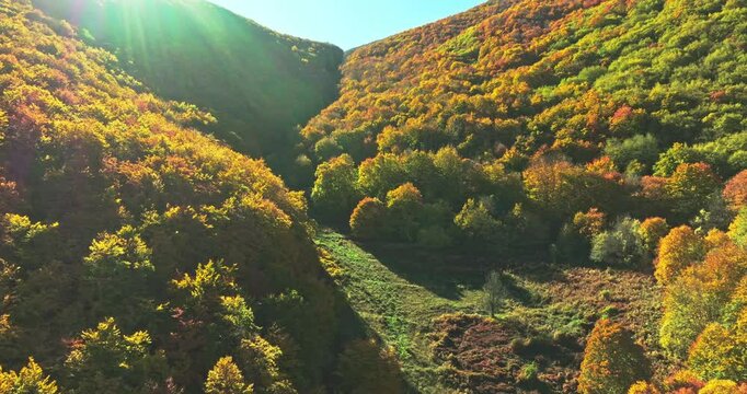 Aerial view of the mountains covered by beech forests with the colors of red, yellow, orange and green autumn foliage in the Maiella National Park. Forward movement. Abruzzo, Italy