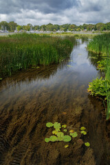 Muskegon Lake Nature Preserve (2024)