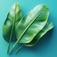 Vibrant Banana Leaves Against Turquoise Background