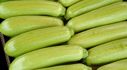 Green zucchini in a box,close up. Showcase of young zucchini on the market. Top view of stacks of green zucchini squashes at farmers market as background.