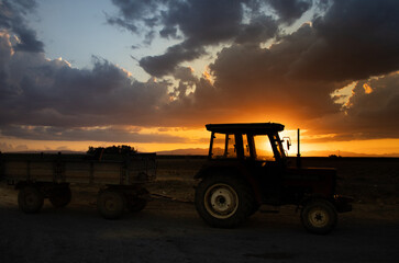 Obraz premium magnificent sunset and tractor view in agricultural field