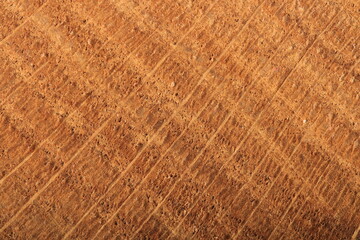 the texture of light oak wood, solid wood or wood. That's a close-up. a place for a text or an object