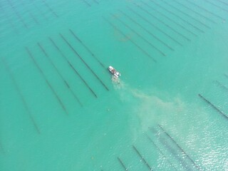 Aerial view of Bouchot mussel beds at sea and the boat harvesting the mussels - Vue aérienne de parcs à moules de bouchot en mer et du bateau récoltant les moules