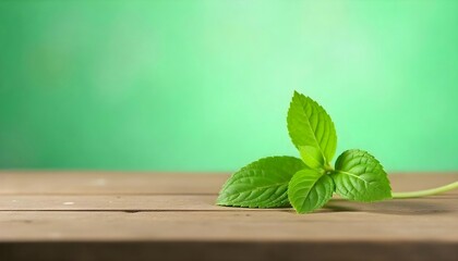 fresh basil leaves on wooden background