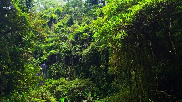 Bali waterfall Air Terjun Nungnung breathtaking 50-meter waterfall Bali's lush highlands. One of the most popular travel destinations Bali, Indonesia 4K