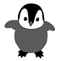 Baby penguin 