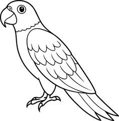 Fototapeta premium Parrot Line Art