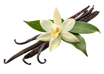 vanilla flower with pods and leaves isolated on white background.AI GENERATED