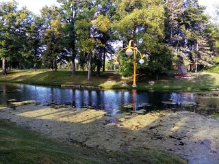 Fototapeta premium small river in the park