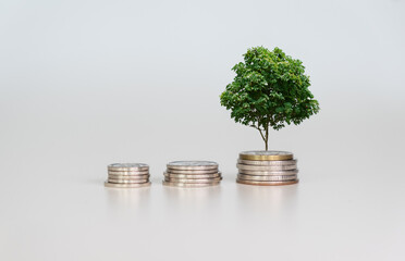 Money growth concept, Business success concept, Trees growing on a pile of coins on a light background.