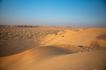 The Rub al Khali, or "Empty Quarter," is a vast desert expanse that stretches across Oman, known for its towering sand dunes and serene, untouched beauty. 