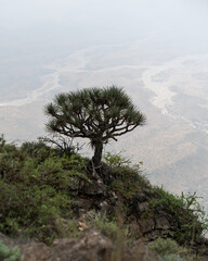 Jebel Samhan, the highest peak in Oman, is a majestic mountain offering panoramic views of rugged cliffs, deep valleys, and the vast desert below.