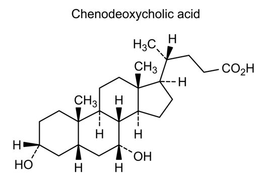 Chemical structure of chenodeoxycholic acid, drug substance