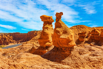 Amazing remnants of various shapes