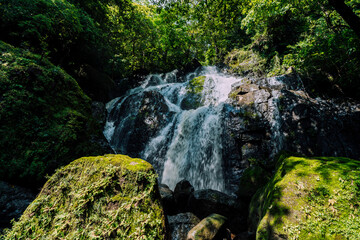 waterfall in the forest