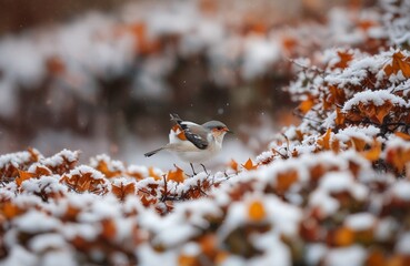 The first snowflake landing on autumn leaves.