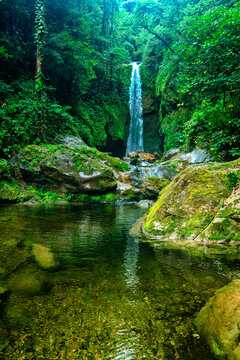 waterfall in the forest