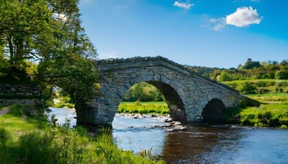 Fototapeta premium bridge over the river in summer