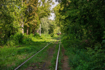 Obraz premium Long tram tracks running through the forest.