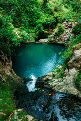 a small natural pond