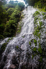 a waterfall in the middle of the forest