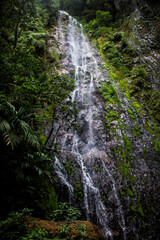 a waterfall in the middle of the forest
