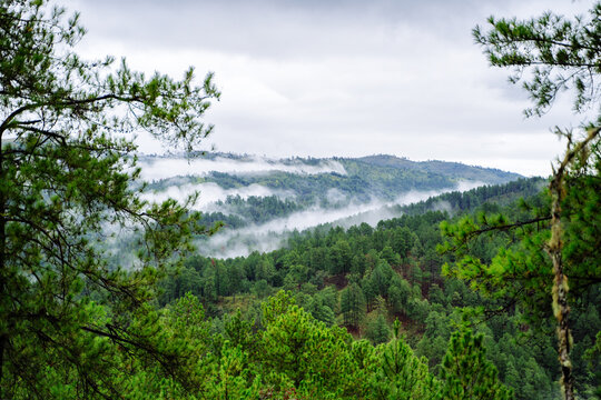 clouds over the mountains in the morning