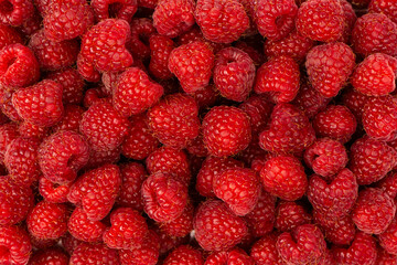 Tasty fresh raspberry as a background.