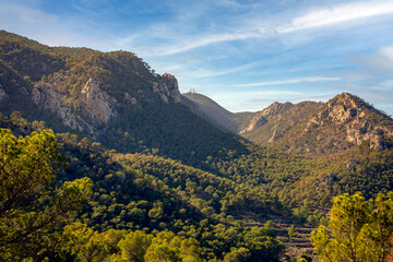 Fototapeta premium View of the Ricote mountain range, Region of Murcia, Spain, with its Mediterranean pine forest on a bright day