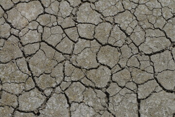 Fototapeta premium Dry clay 