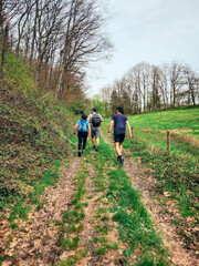 walking in the woods